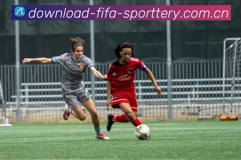 FIFA官方授权证书
